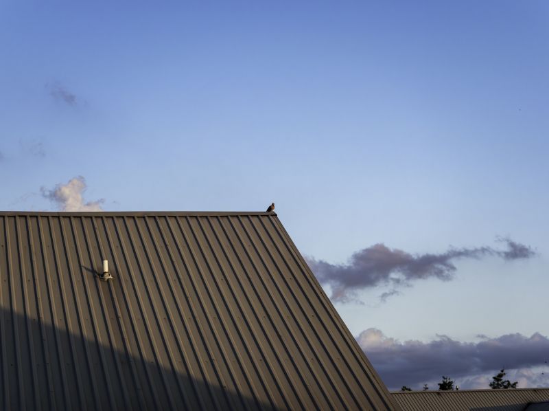 Metal Roof Replacement Vs. Roof Repair: How To Decide
