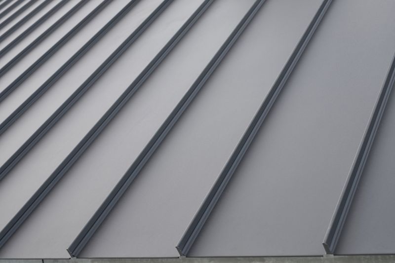 Metal Roof with Seam Details